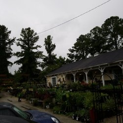 Transplanted Garden 14 Reviews Nurseries Gardening 502 S Photo Of Transplanted Garden Wilmington Nc United States