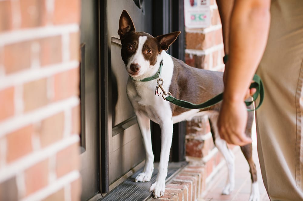 Killingsworth Environmental