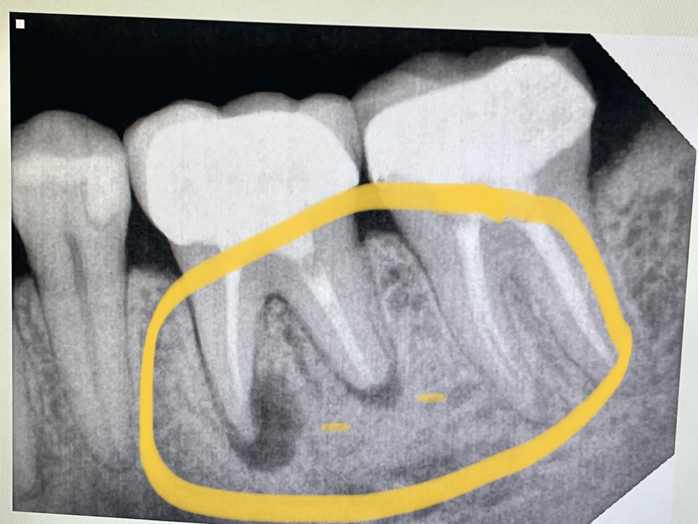 image of business Cypress Dental
