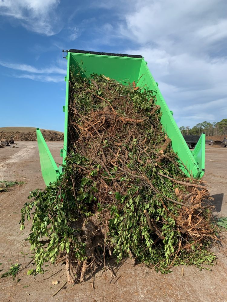 Hagner Debris Removal