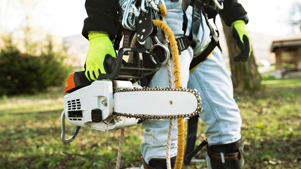 JL Tree Care Services