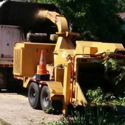 Gilbert S Tree Service 16 Photos 42 Reviews Services Photo Of Gilbert S Tree Service Houston Tx United States