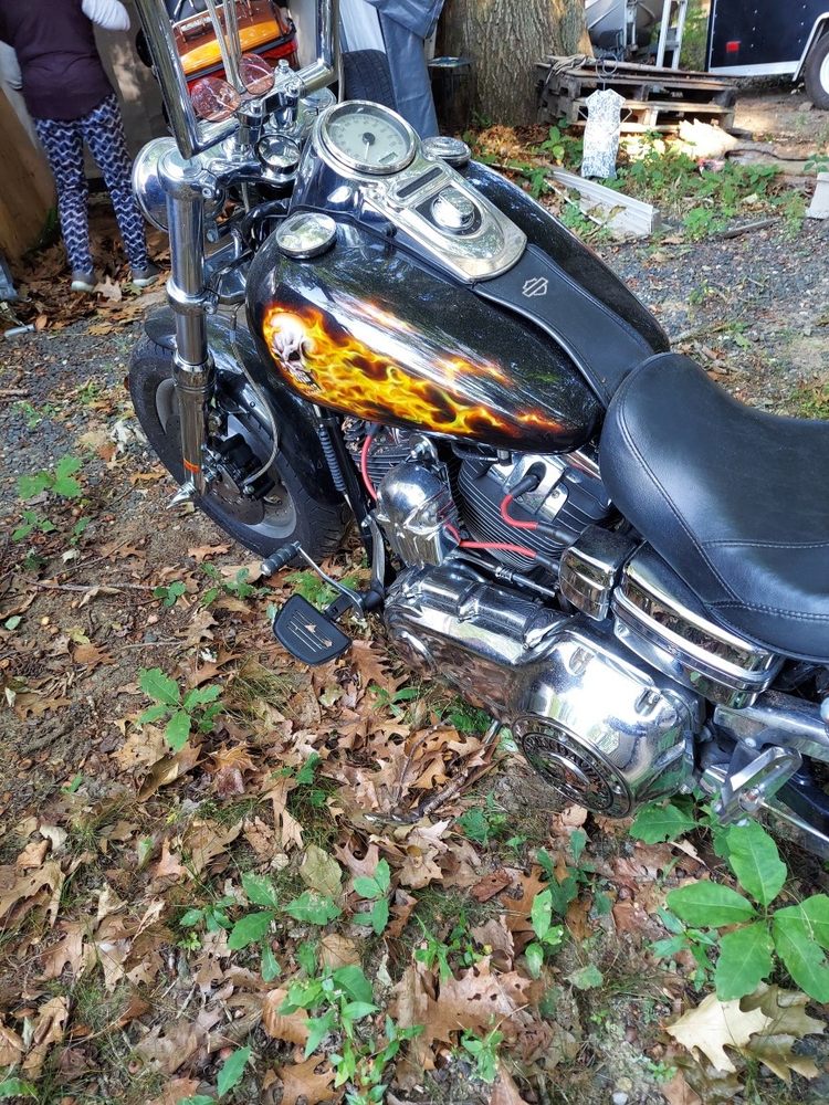 image of business Timothy S Guldemond, DDS