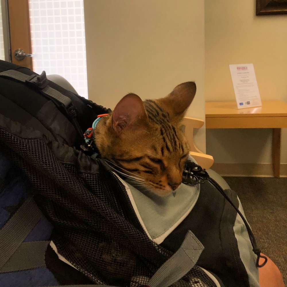 image of business Riverside Dental Group At Woodcrest