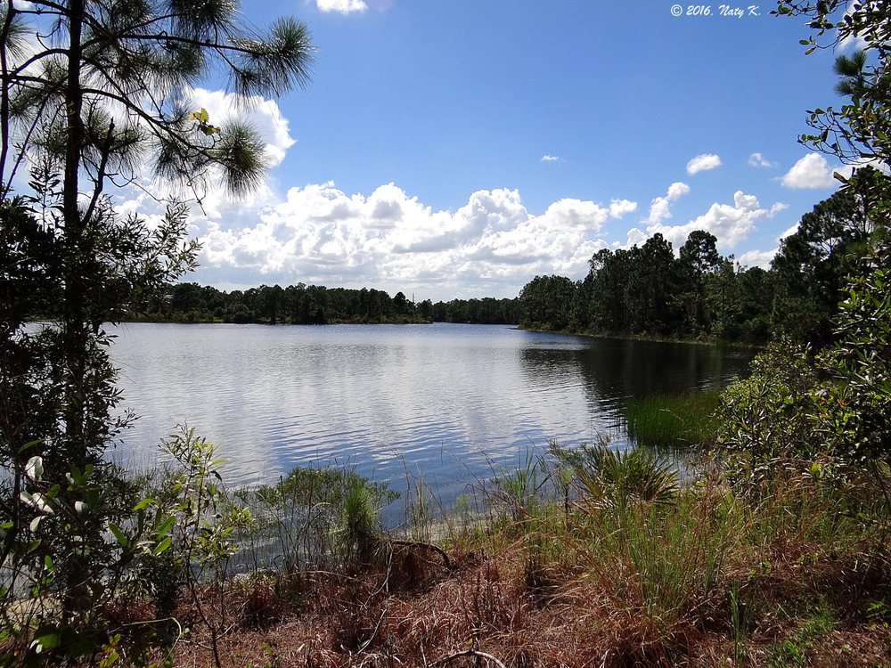 Halpatiokee Regional Park 2019 All You Need to Know BEFORE You Go