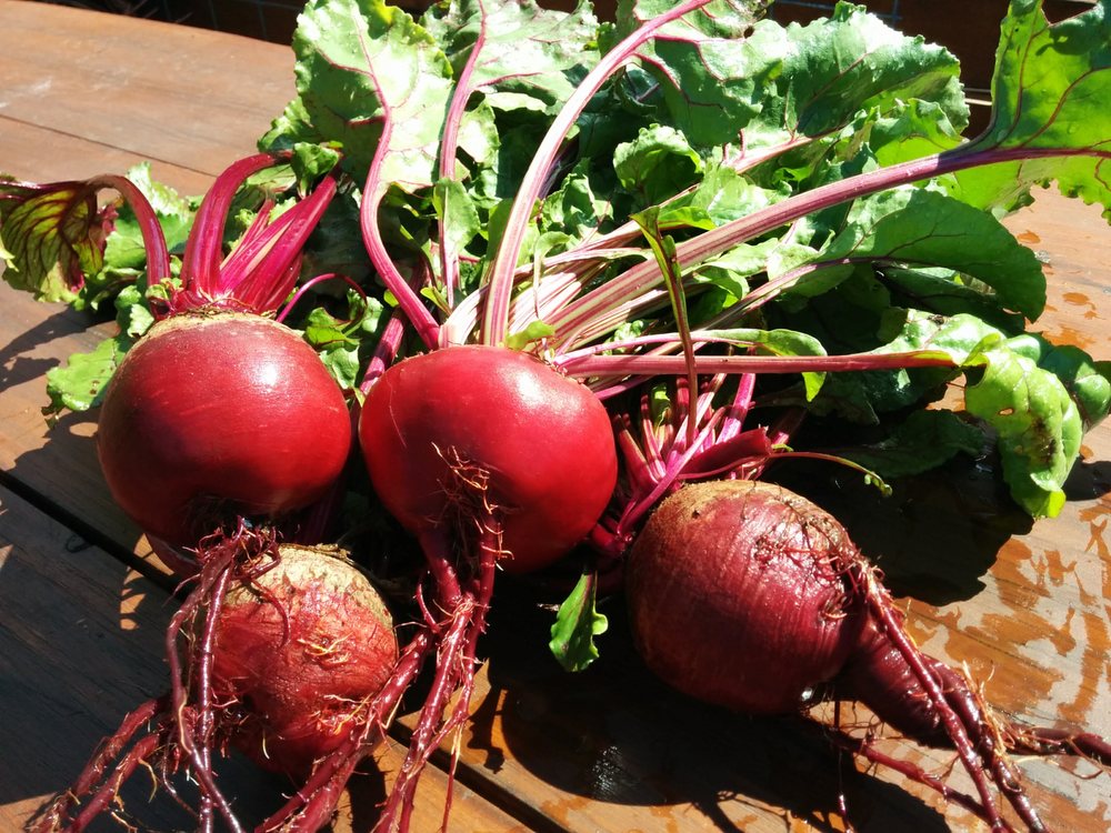 Green Girl Farms
