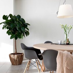 Interieur Design By Nicole & Fleur - Get Quote - Interior Design ... Interieur Design By Nicole & Fleur - Get Quote - Interior Design ...