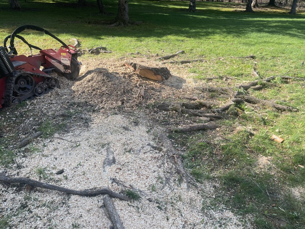 JJ Tree Service
