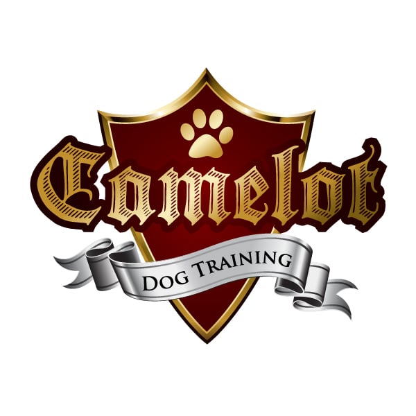 Camelot Dog Training