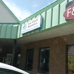 top shelf aquatics 39 photos pet stores 5104 top shelf aquatics 39 photos pet stores 5104