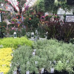 Hawthorn Gardens - 16 Photos - Nurseries & Gardening - 24481 N Old