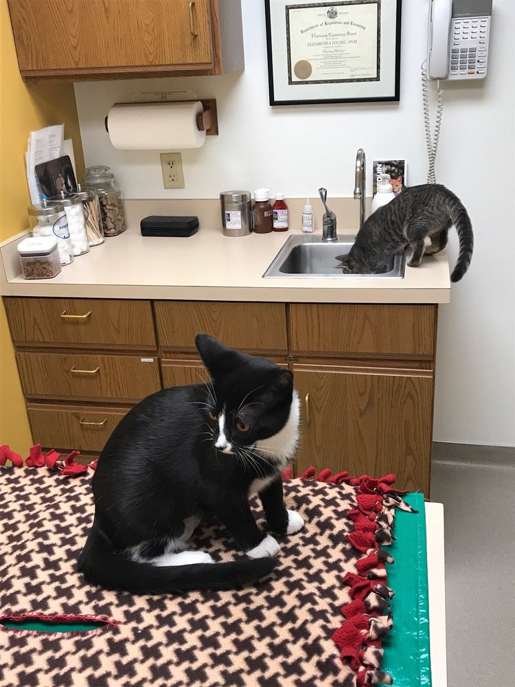 Shorewood Animal Hospital
