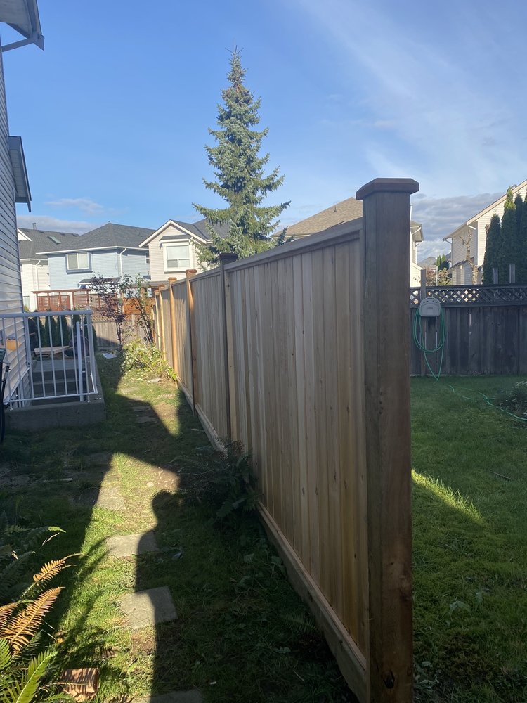 Rabbits Fences