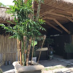 Houston Bamboo Nursery Nurseries Gardening 10815 Leitz Rd Photo Of Houston Bamboo Nursery Tx United States Impressive Selection