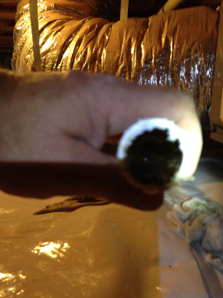 Carolina Crawlspace Pros