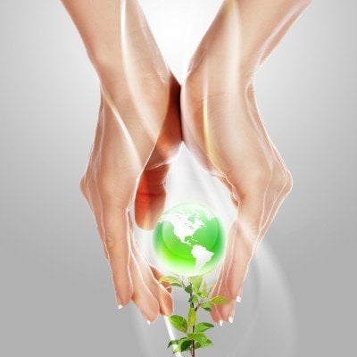 Dustbusters Cleaning Service