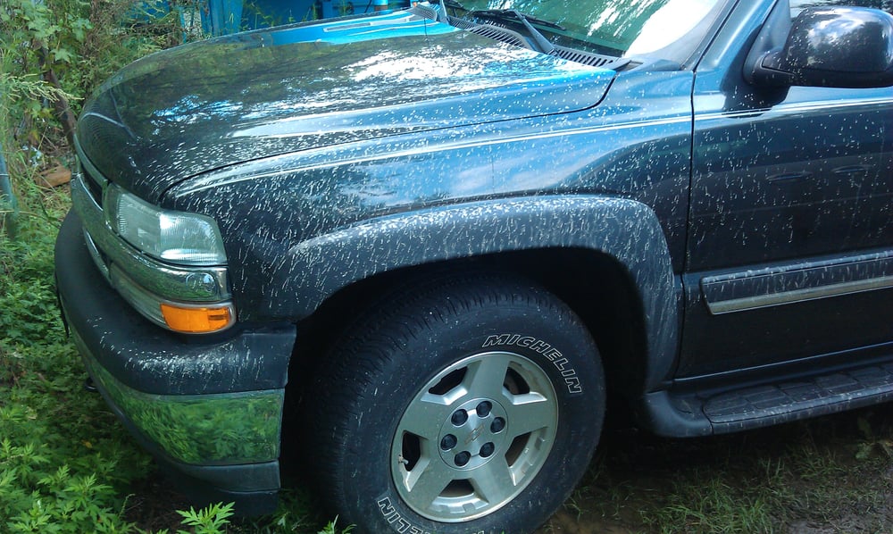 George's Towing and Recovery