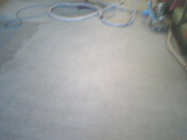Pinnacle Carpet Care