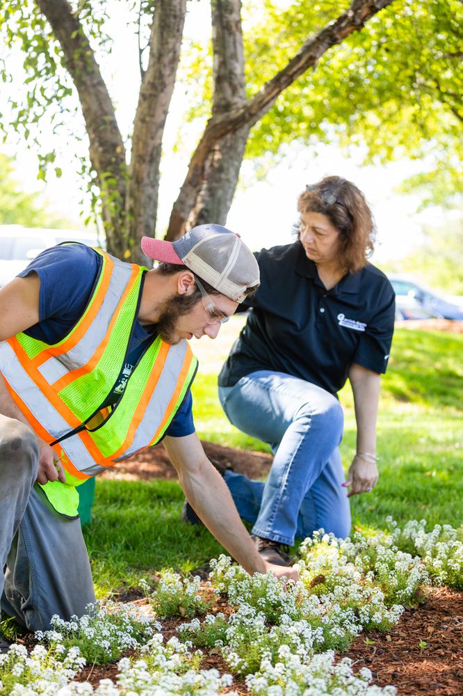 Garrick Santo Landscape 11 Photos Lawn Services 110