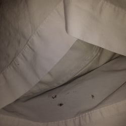 Cocusa Motel 11 Photos Reviews Hotels 370 W Rio Vista Photo Of Cocusa Motel Burlington Wa United States 1 4 Pillow