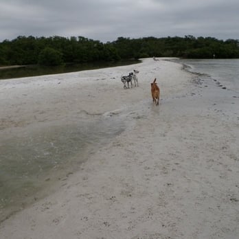 Dog Beach 41 Photos 10 Reviews Beaches 8800 Estero Blvd Photo Of Dog Beach Fort Myers Fl United States