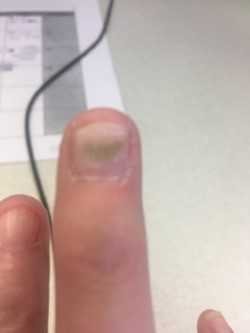 Foxy Nails 560 S Jefferson Ave Cookeville Tn Manicurists Mapquest