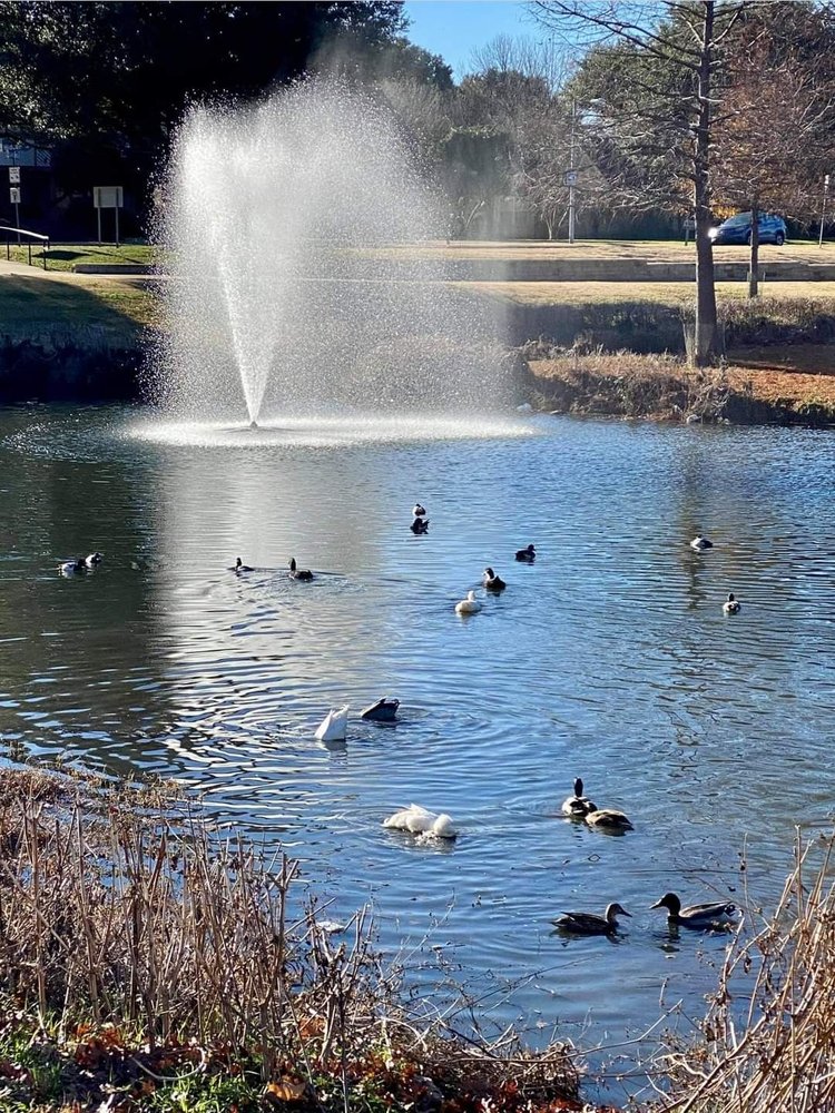 Breckenridge Park