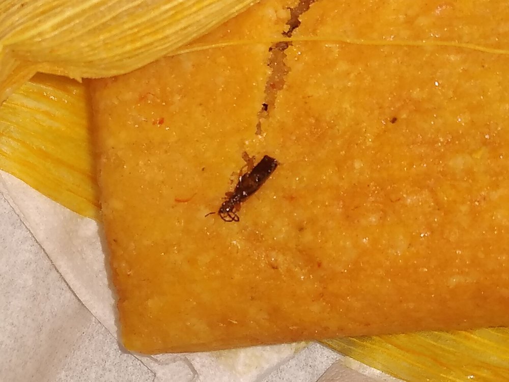 Tamale Kitchen Gift Cards And Gift Certificates Northglenn Co Giftrocket