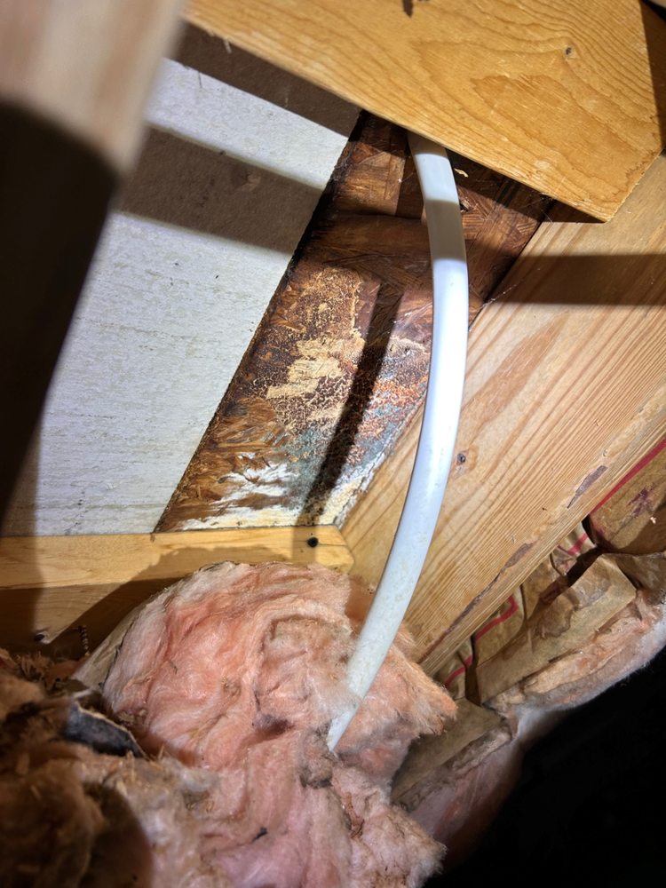 R2G Home Inspections