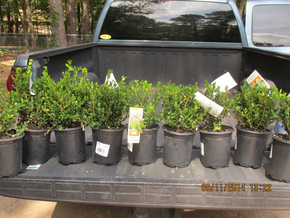 No Limit Landscaping 20 Photos Kennesaw Ga No Limit