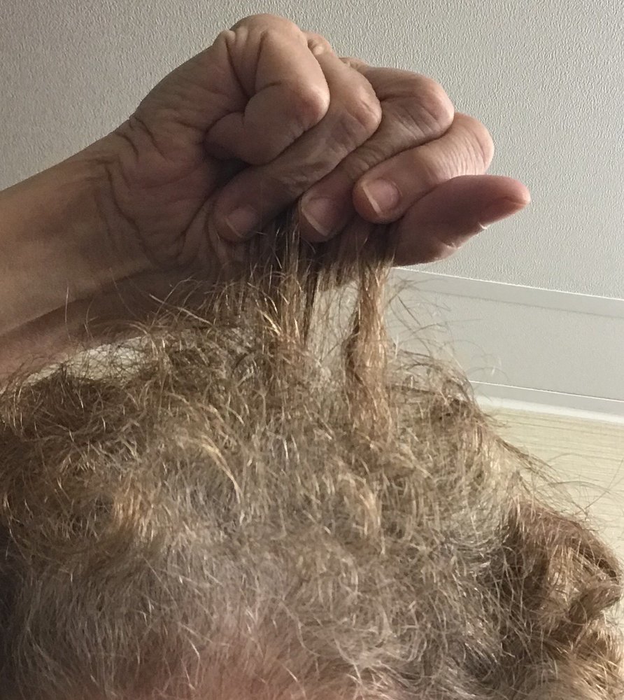Fantastic Sams Hair Salons
