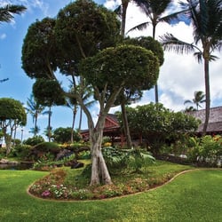 Kauai Coast Resort At The Beachboy 123 Photos 82 Reviews Photo Of Kauai Coast Resort At The Beachboy Kapaa Hi United States