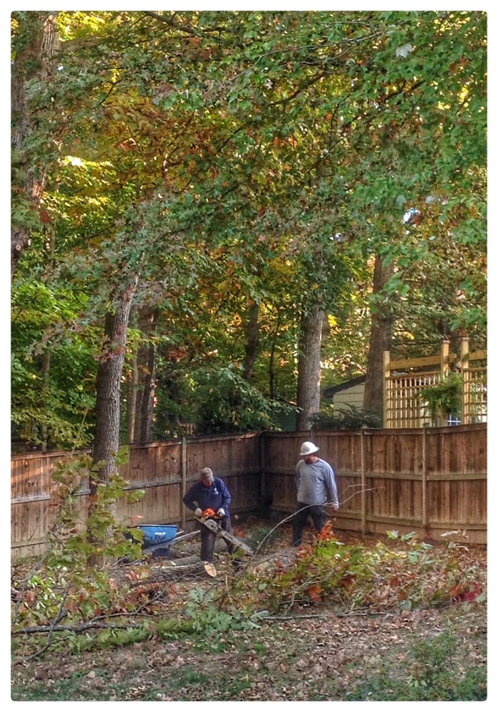 ADM Tree Services & Landscaping LLC