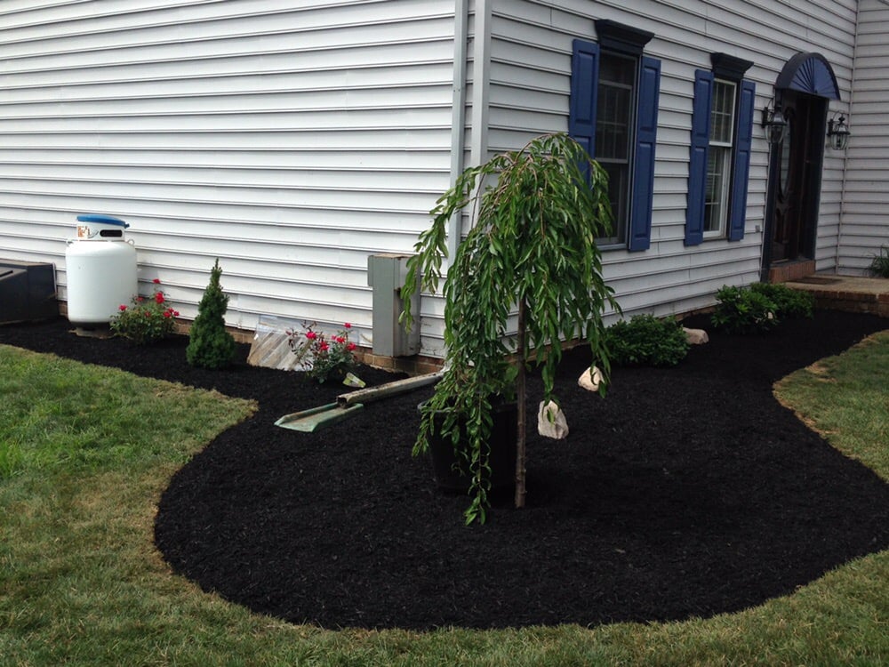 Lazer Cut Lawn Care