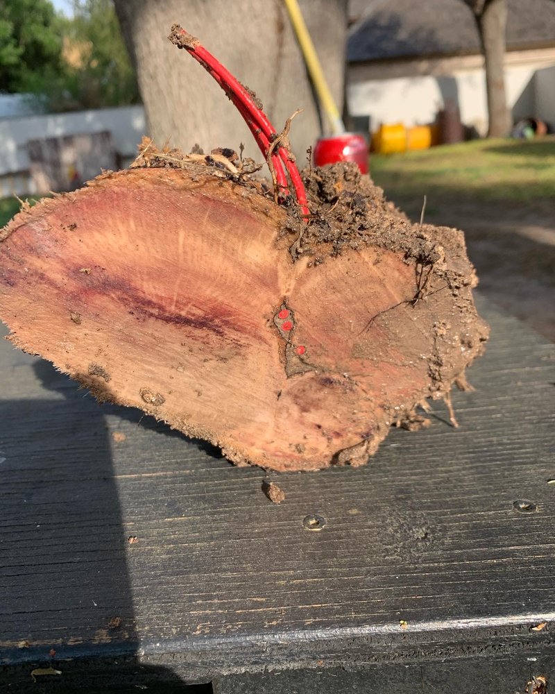 Sprinkler Systems of South Texas
