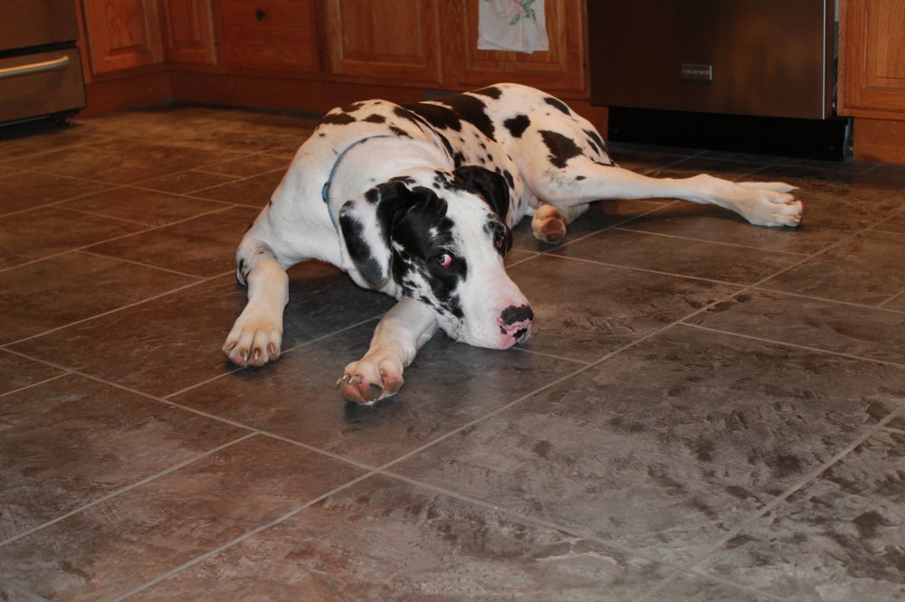 image of business Big Red Decorative Concrete