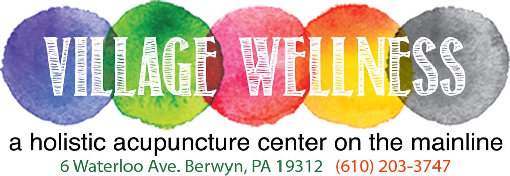 Village Wellness