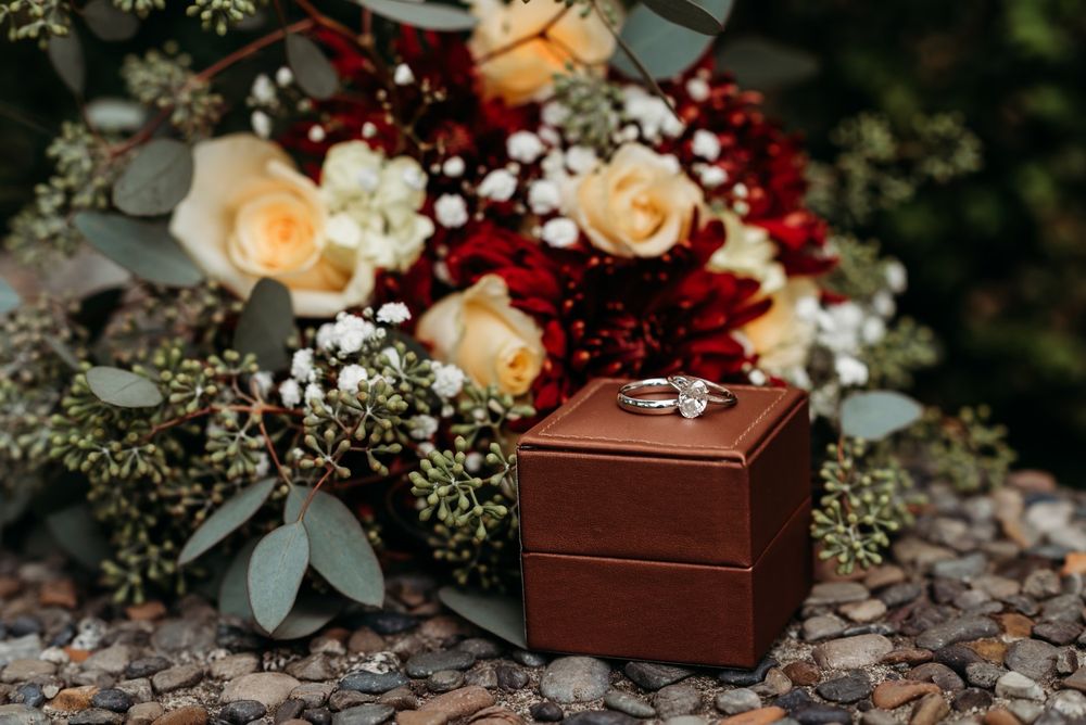 Amber Fino Photography