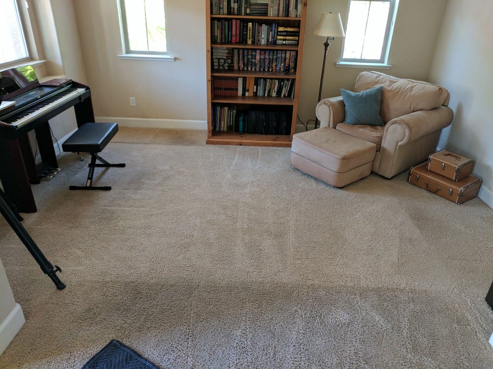 Area Rug Removed Showing The Gross Amount Of Black Lab Hair