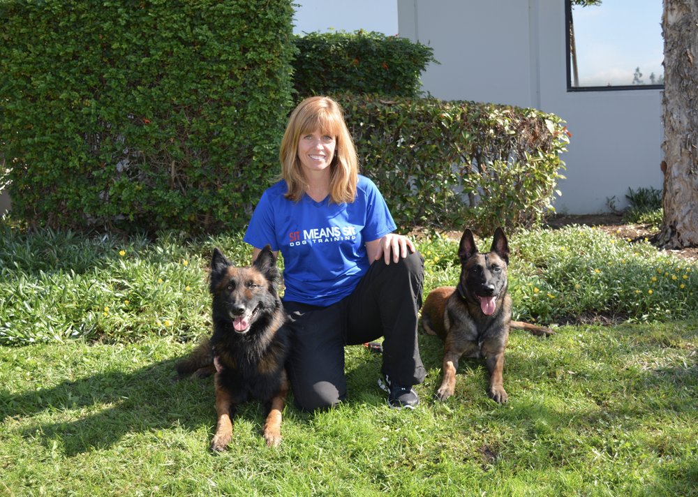 Dog Trainer Huntington Beach Ca Dog Trainer Huntington Beach Ca