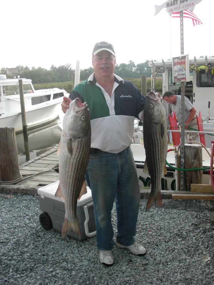 Jeff’s Furniture Repair 15 Photos Furniture Repair Port Charlotte