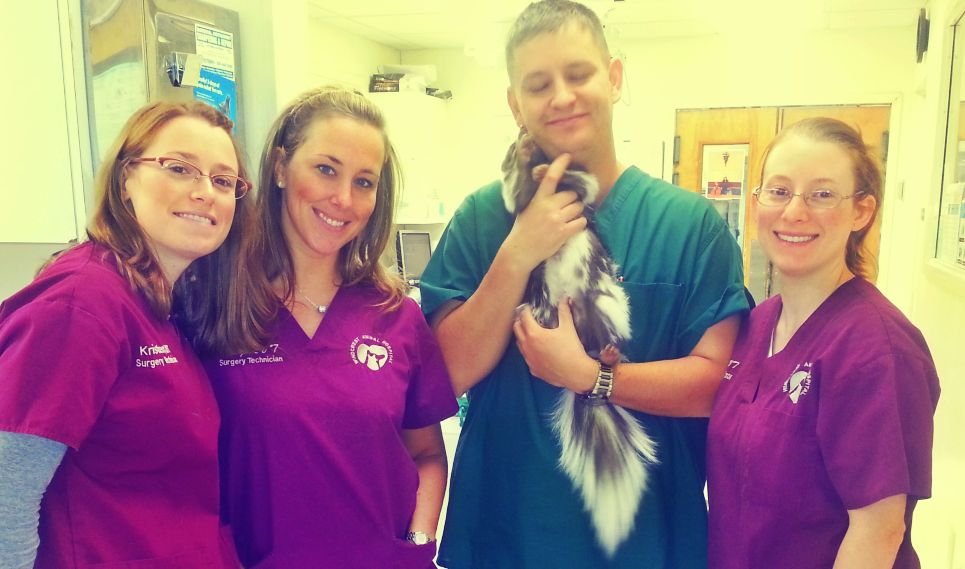 Windcrest Animal Hospital 20 Photos & 29 Reviews Veterinarians