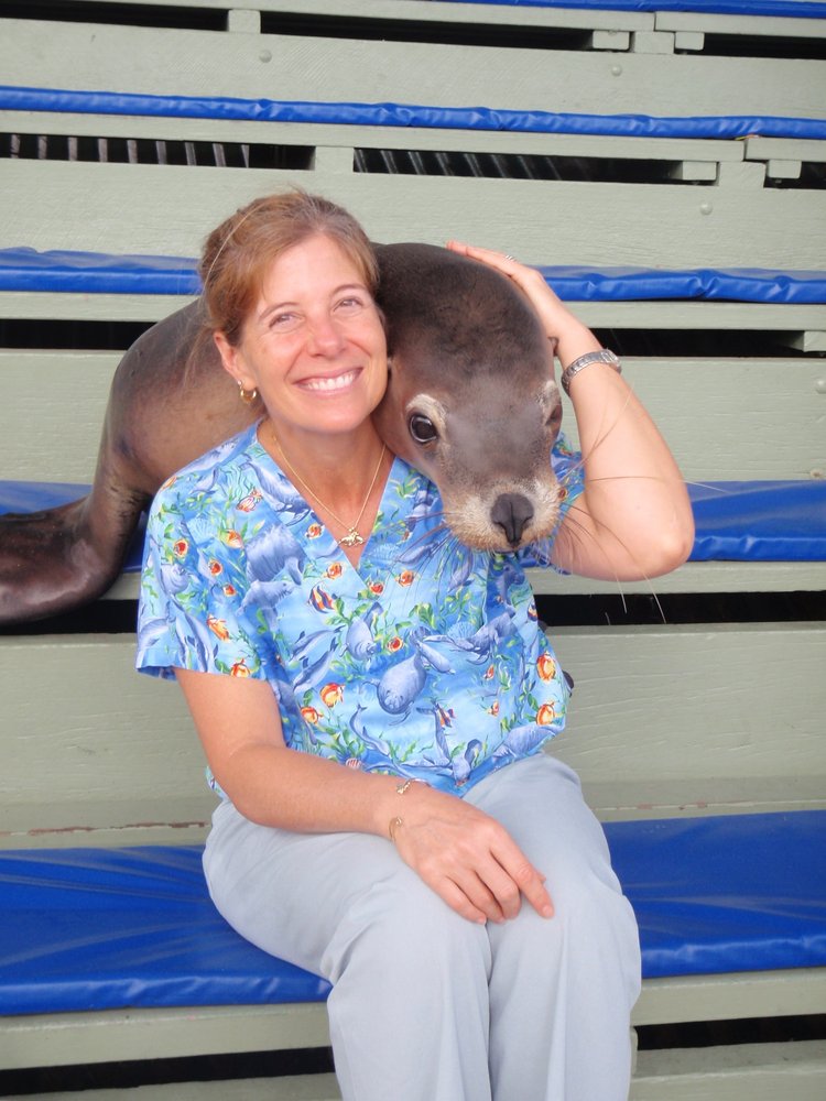 Jupiter Pet Emergency & Specialty Center 16 Photos Veterinarians