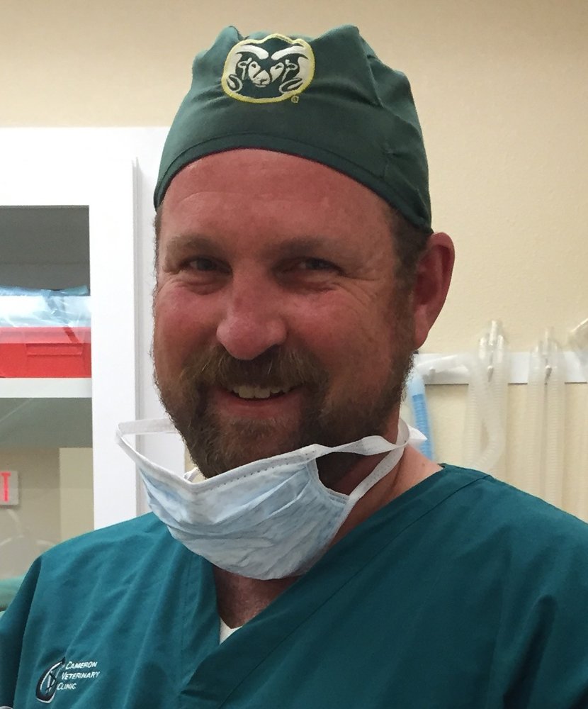 Cameron Veterinary Clinic 10 Reviews Veterinarians 7 Avenida