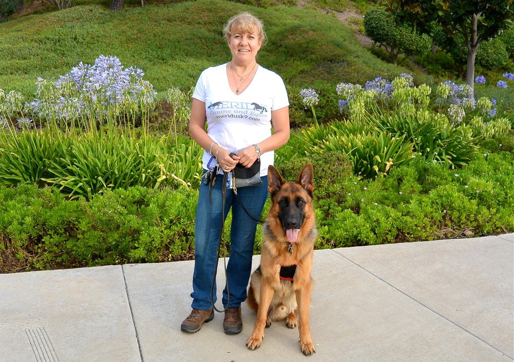 San Diego Dog Trainer Reviews San Diego Dog Trainer Reviews