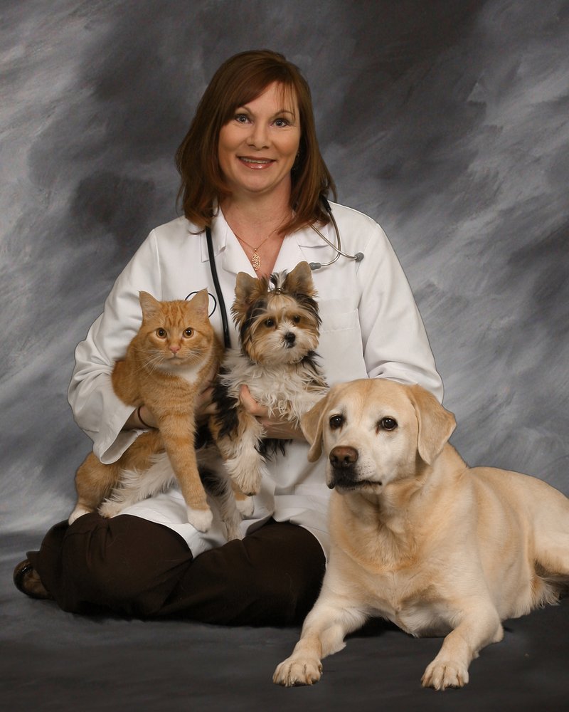 Avalon Veterinary Hospital 20 Reviews Veterinarians 120 Elizabeth Ave, Pittsburgh, PA