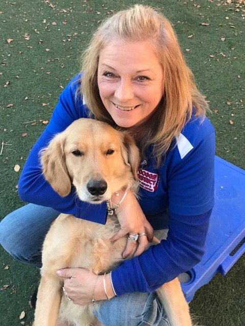 Las Vegas Dog Training Reviews Las Vegas Dog Training Reviews