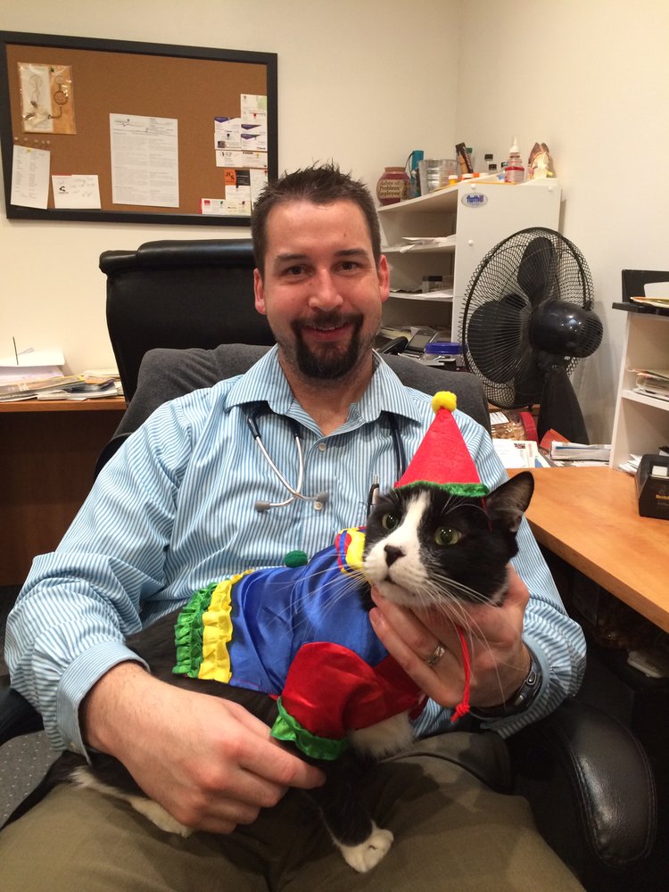 Camden Pet Hospital 10 Photos & 74 Reviews Veterinarians 4960