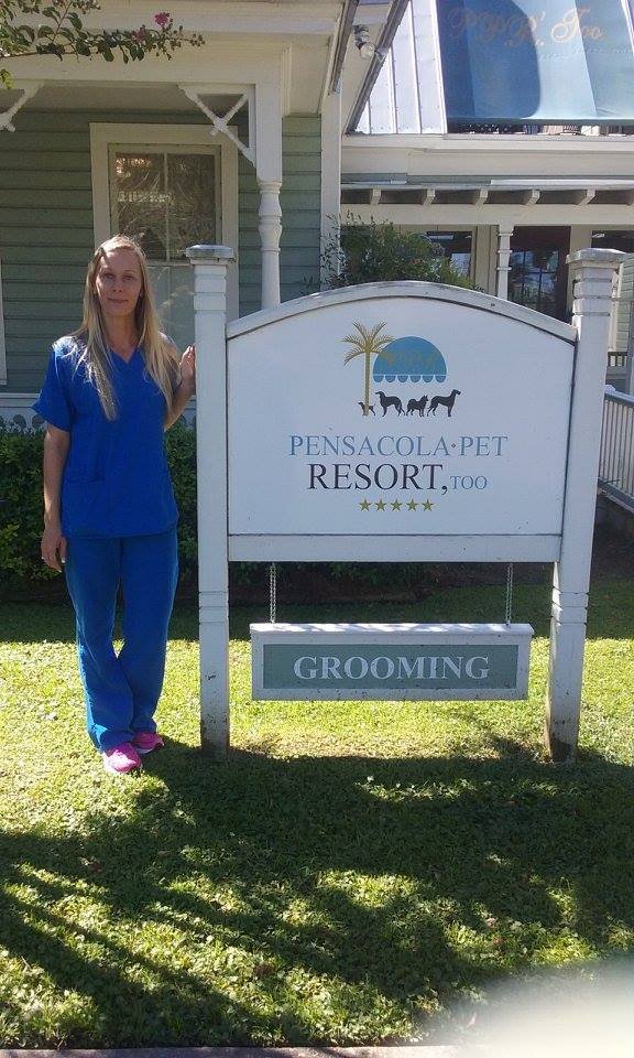 Pensacola Pet Resort 17 Photos Pet Sitting 300 E Gadsden St