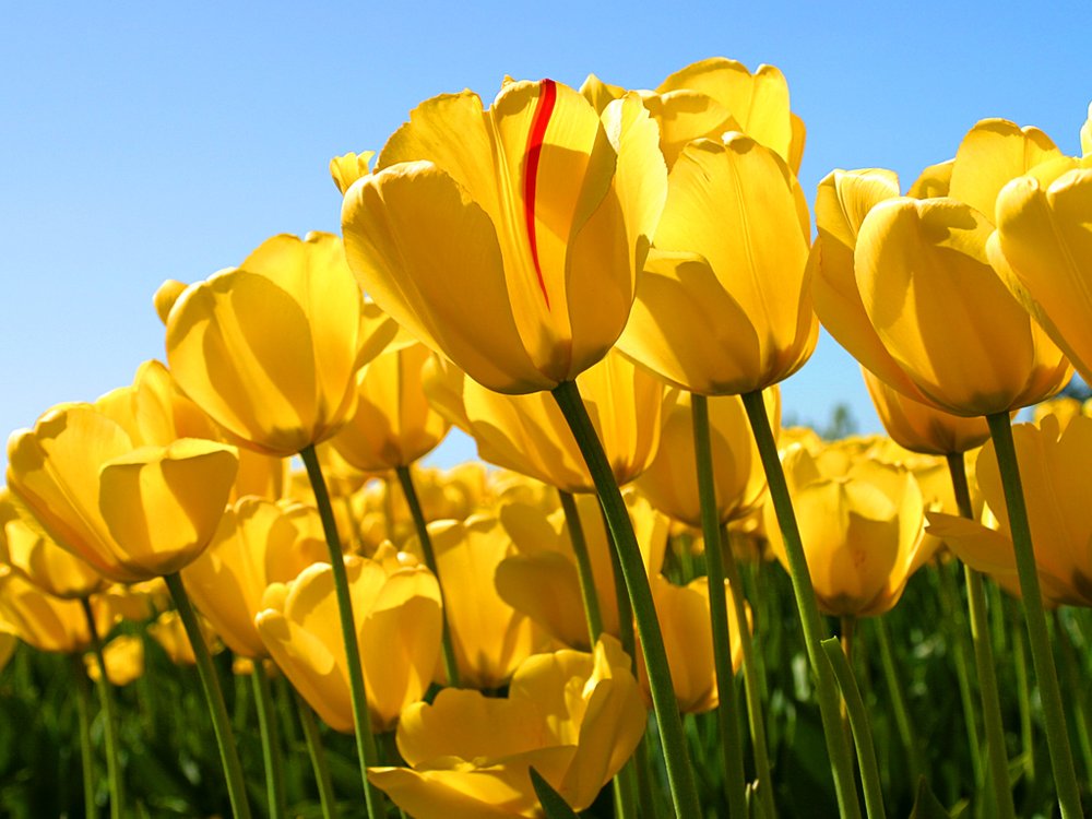 connolly dermatology dermatologists 2099 new albany rd dr coyle connolly